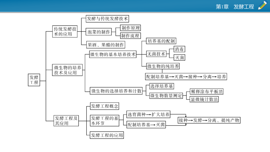 第1章发酵工程章末总结共73张ppt