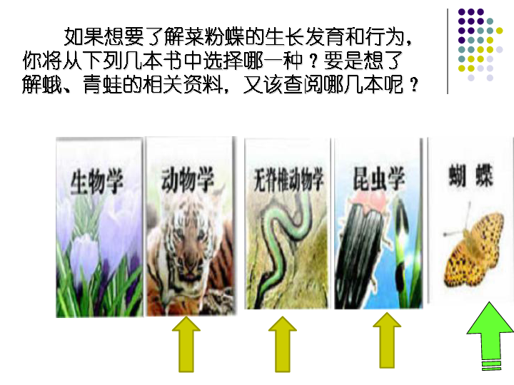 辽宁省大连市长兴岛初级中学（人教版）八年级生物学上册6.1.1尝试对生物进行分类课件(共22张PPT)