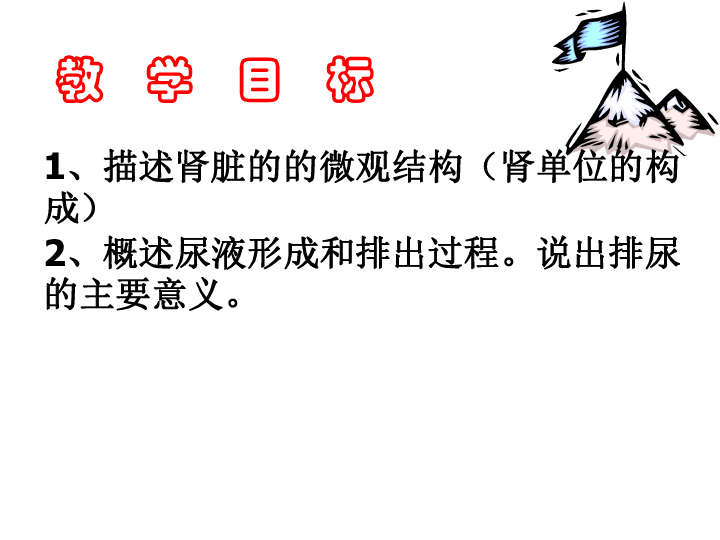 北京版七下生物  7.2 尿液的形成和排出  课件（14张PPT）