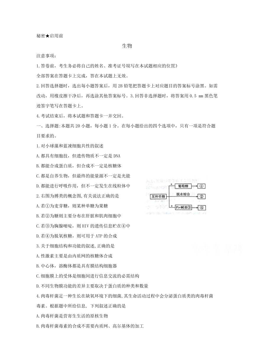 山西省孝义市2019届高三上学期入学摸底考试生物试题