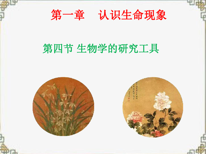 济南版生物七上  第一章第四节生物学的研究工具课件