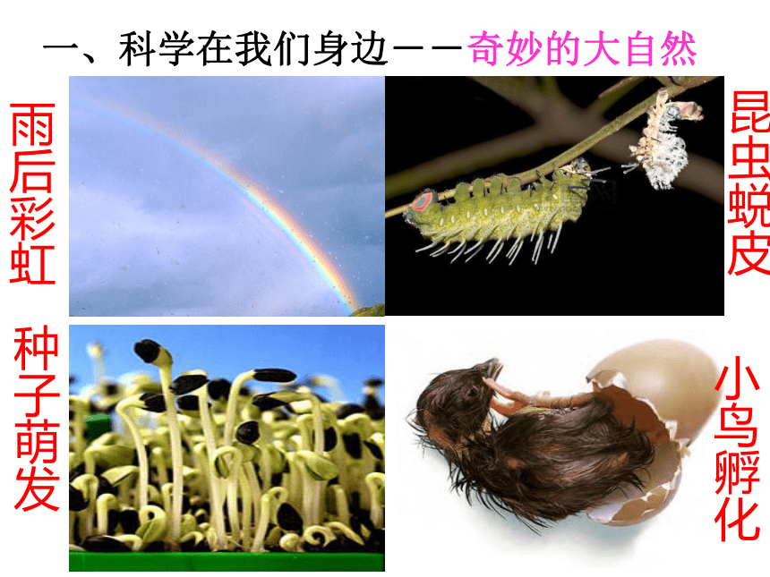 科学并不神秘