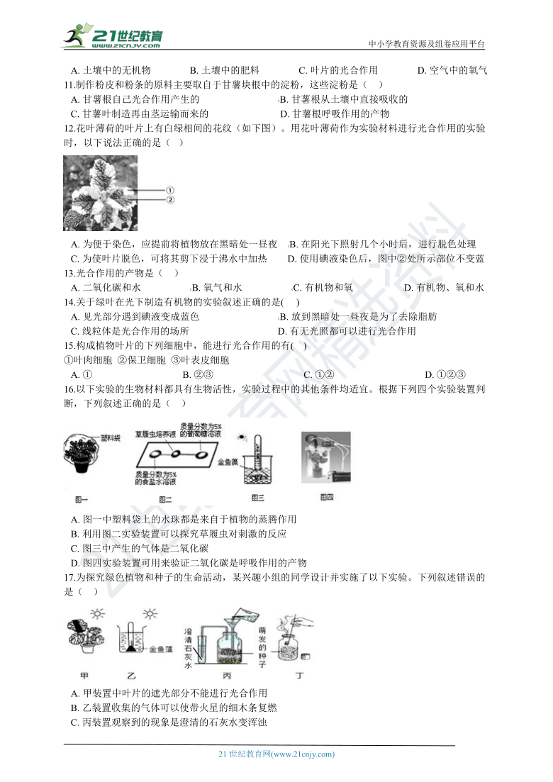 生物中考二轮复习 主题三 生物圈中的绿色植物 专题五 光合作用（含解析）