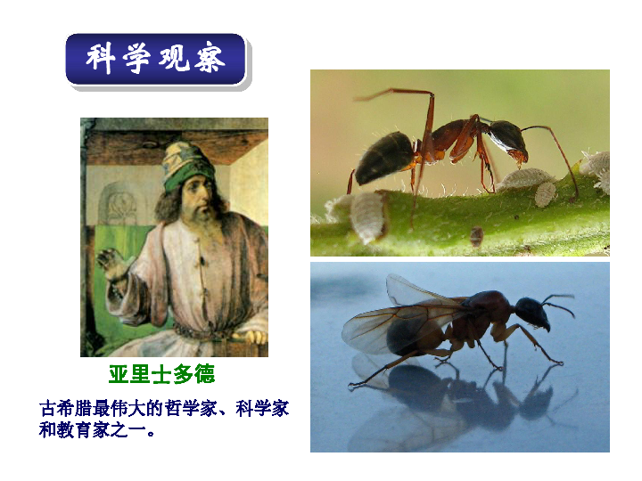 苏科版七上生物 1.2生物学的基本研究方法(共44张PPT)