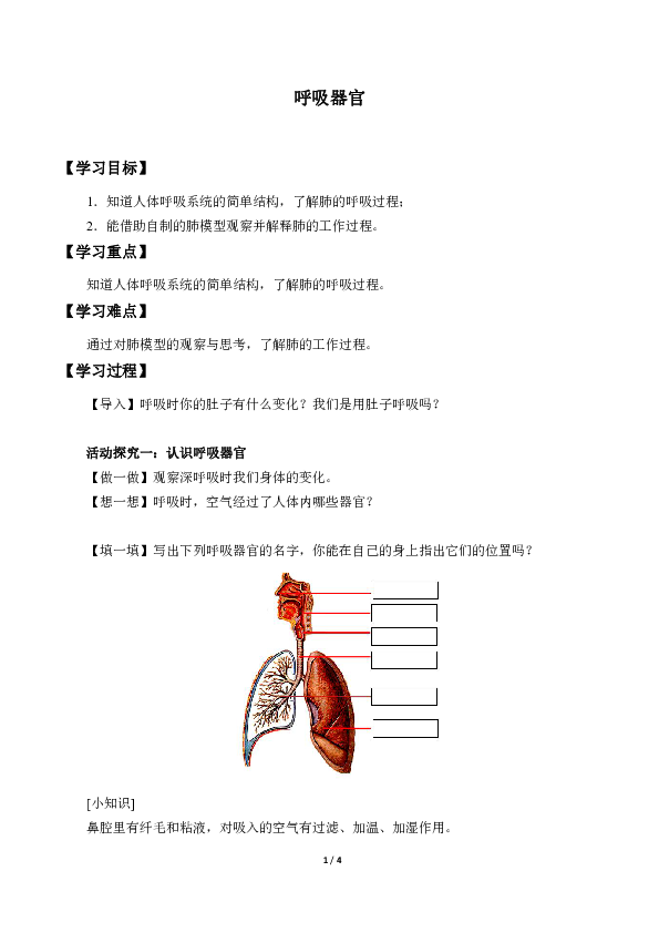 4.13.呼吸器官 学案（含部分答案）
