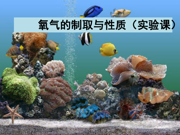 沪教化学九上基础实验1 氧气的制取与性质（15张PPT）