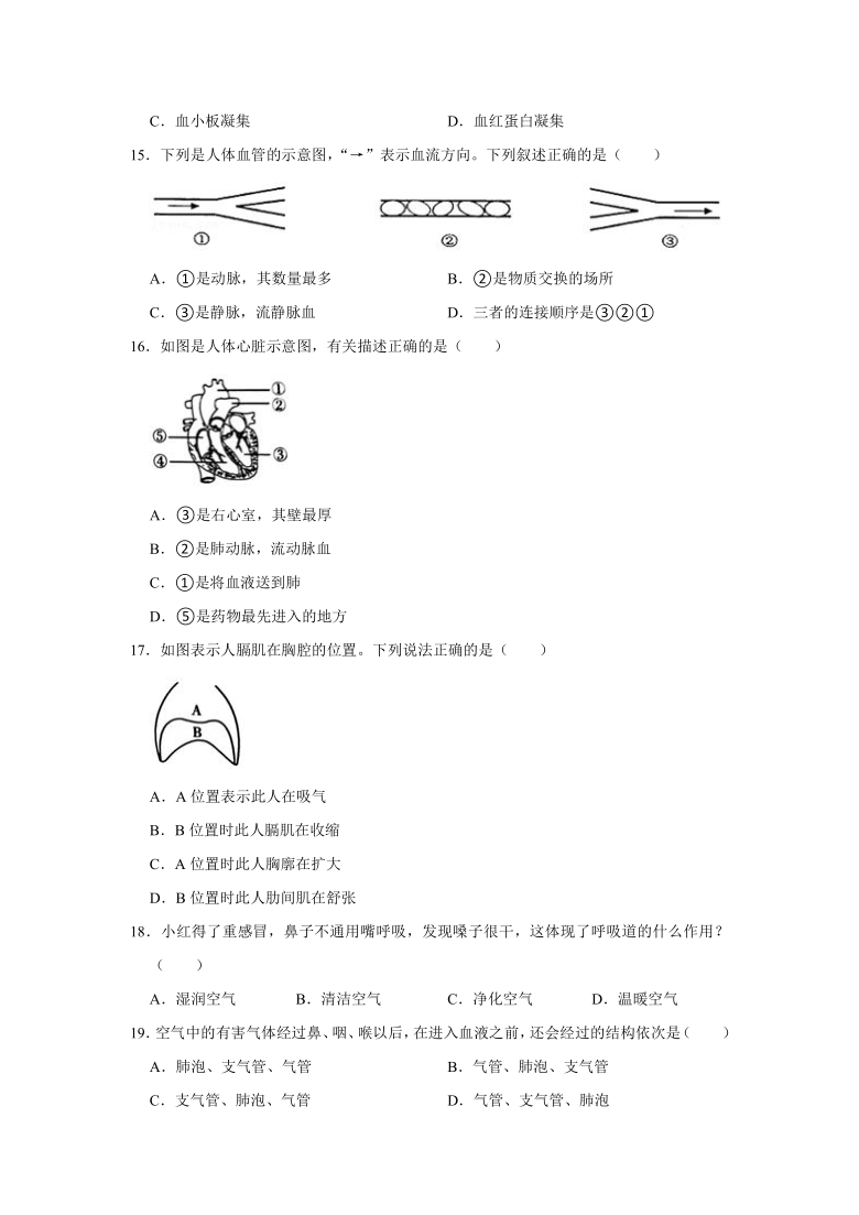 2020-2021学年湖南省永州市宁远县七年级下学期期末生物试卷（word版 含解析）