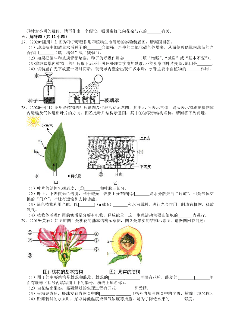 湖北省2018-2020年近三年中考生物试题分类（3）——生命圈中的植物(word版含解析)