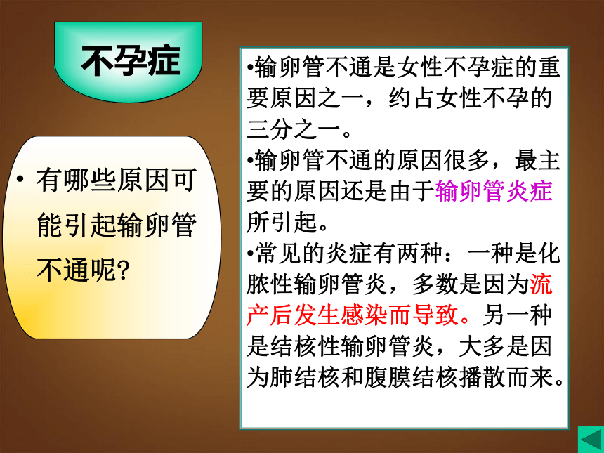 广东省深圳市文汇中学七年级健康下册 新生命的孕育和诞生