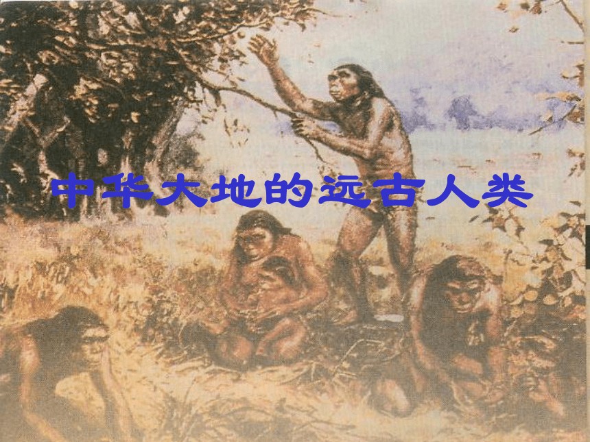 北师版新版七上第1课 中华大地的远古人类 课件（34张）
