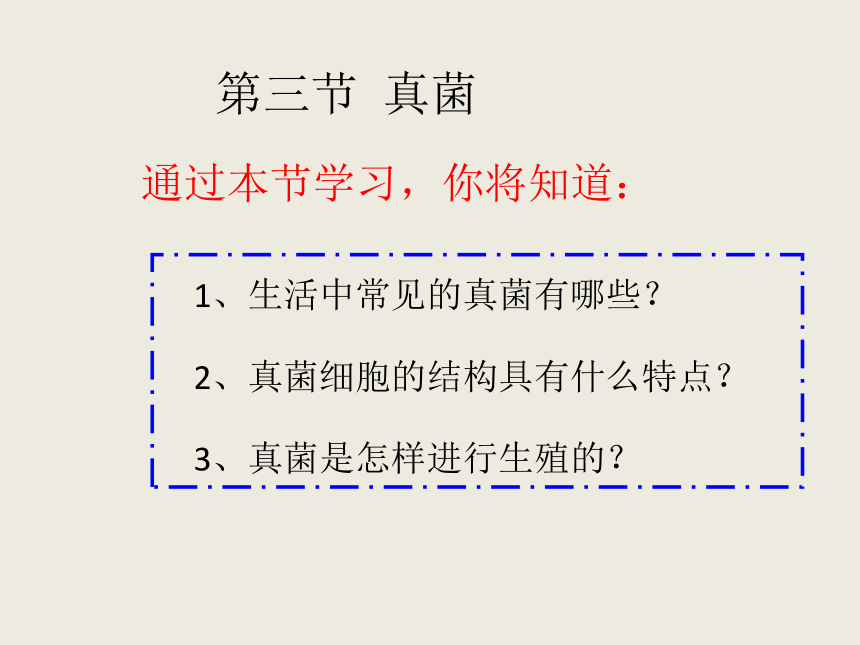 人教版八年级上册生物 5.4.3 真菌 课件 （共24张PPT）