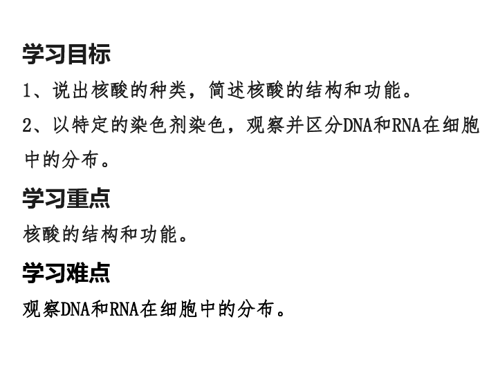 人教版生物高中必修1第三节：遗传信息的携带者---核酸（共31张PPT）