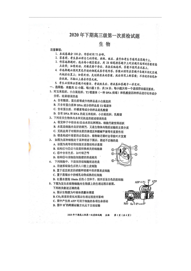 广东省梅州市丰顺县2021届高三第一次质检生物试题 图片版含答案