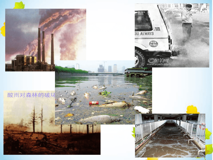 9.3 环境污染的防治 (53张PPT)