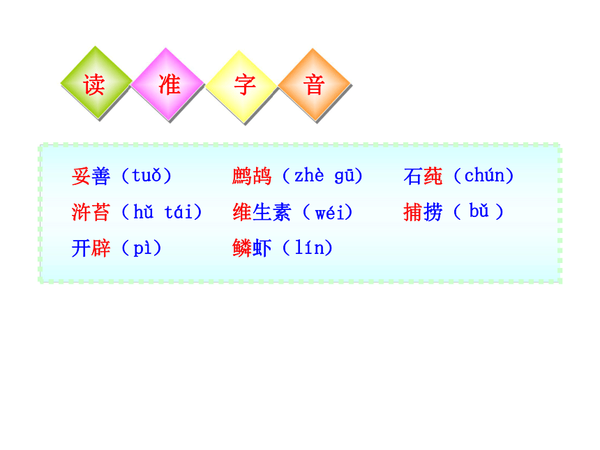 10-11版初中语文新课标同步授课课件：第19课 海洋是未来的粮仓 （语文版八年级上）