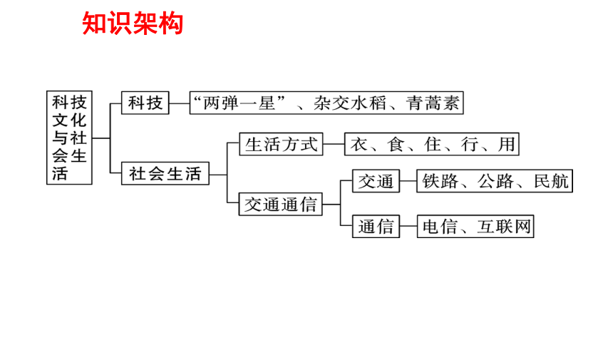 统编版历史八下第六单元科技文化与社会生活单元复习课件35张ppt