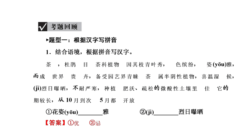 2021年浙江省中考语文一轮复习课件 考点一 字音字形书写与辨析（共20张PPT）