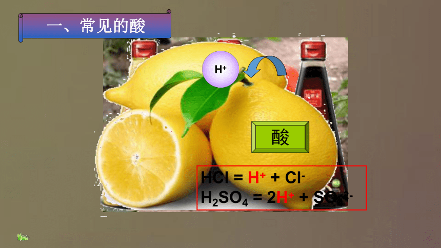 第一节 酸及其性质 课件（20张PPT）