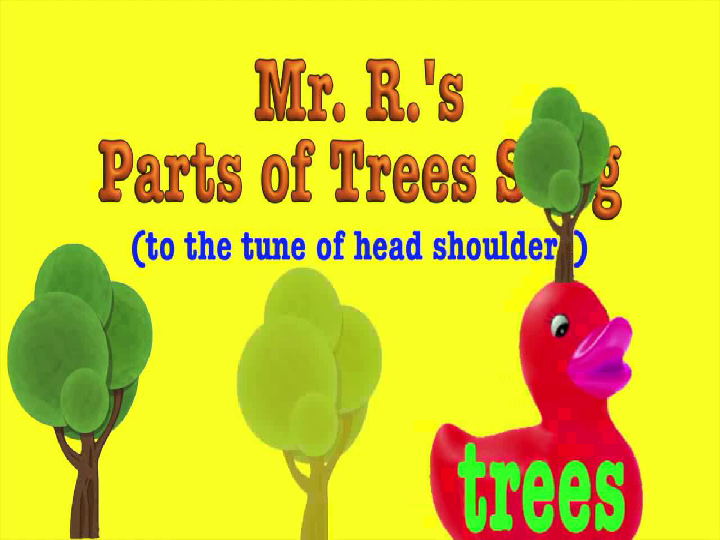 Module 4 Unit 11 Trees 课件+素材 （50张PPT）