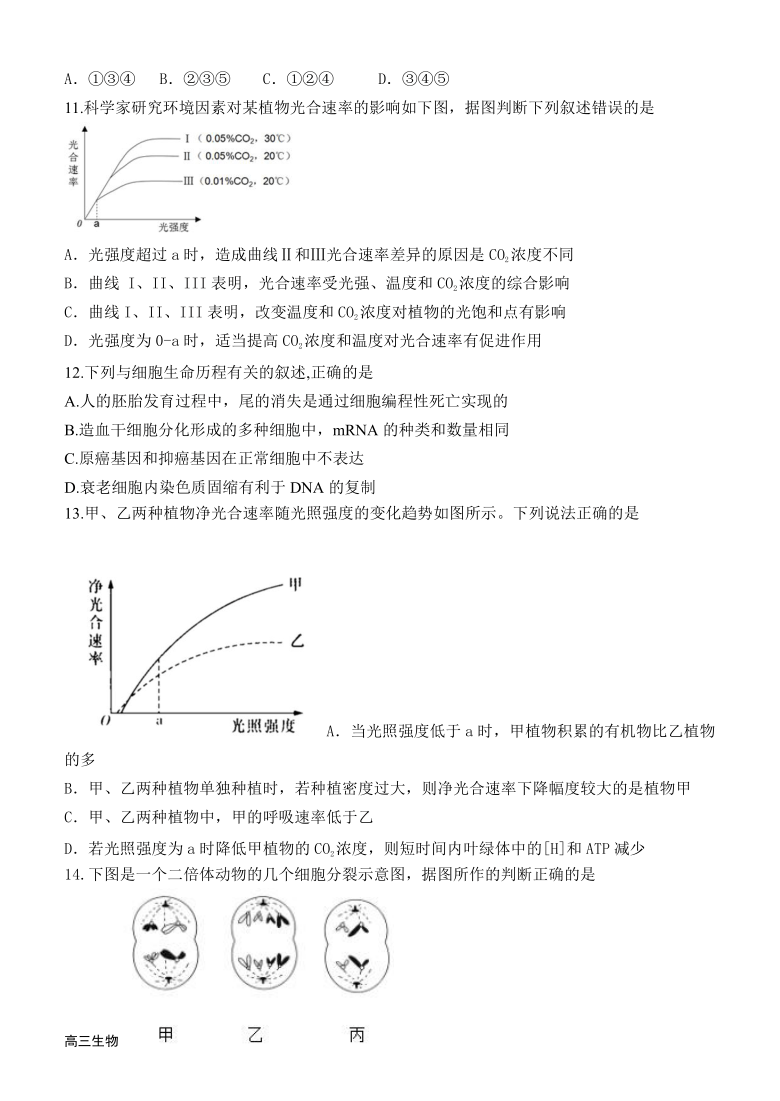 内蒙古甘旗卡二中2021届高三上学期第二次月考生物试题