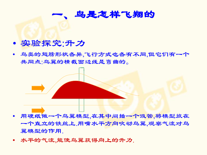 教科版八年级下册物理10.1--在流体中运动(26张PPT)