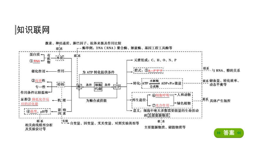 酶和atp的思维导图图片