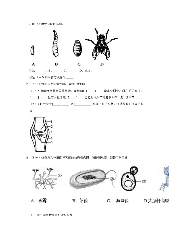 2018-2019学年内蒙古呼伦贝尔市海拉尔九中八年级（上）期末生物试卷