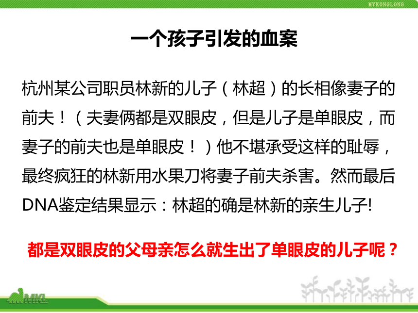 人教版八年级下册2.3基因显性和隐性课件（33张ppt）