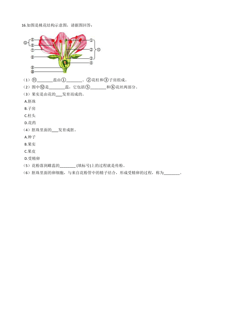 1 绿色开花植物的有性生殖和发育 同步练习(含解析)