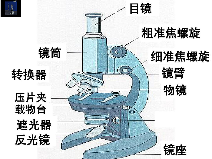 五年级下册科学课件-1.1细胞 （11张PPT） 青岛版