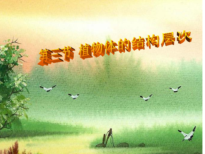 课件预览