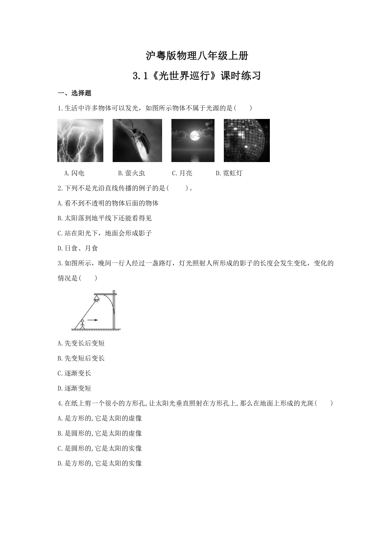 3.1《光世界巡行》课时练习  2021－2022学年沪粤版物理八年级上册（含答案）