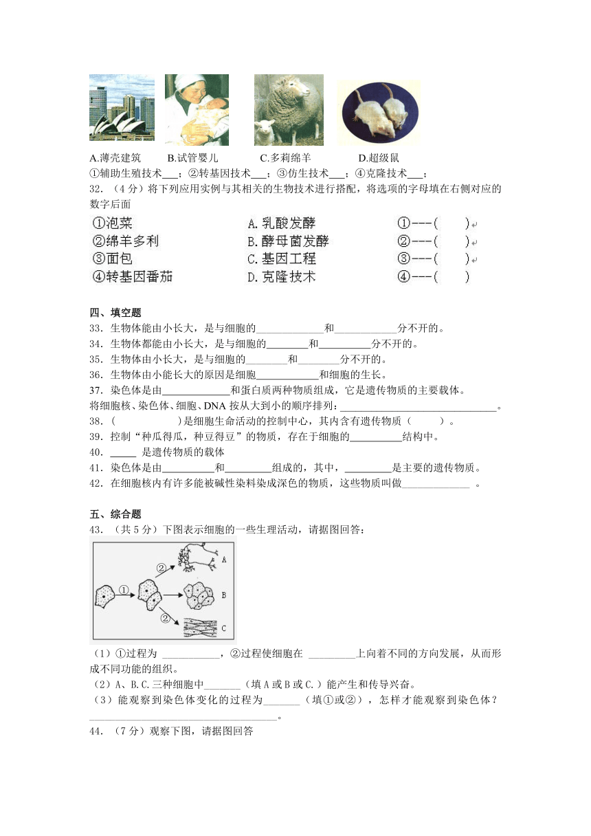 2013-2014学年度生物中考二轮复习专题卷--细胞生活需要物质和能量、细胞核是遗传信息库