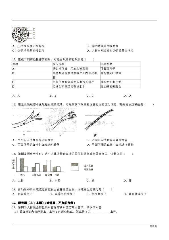 山西省太谷县胡村镇中学校2018-2019学年七年级下学期5月生物考试题（解析版）