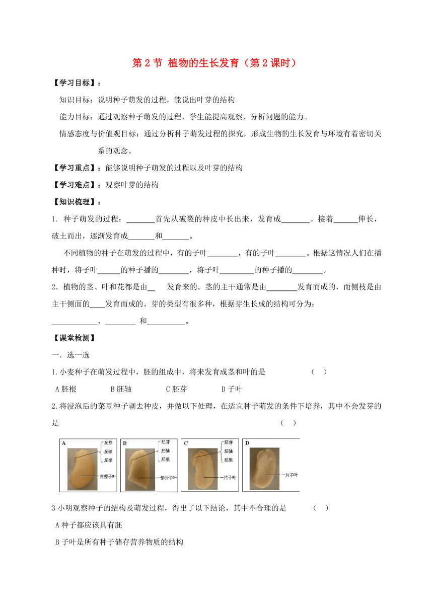 19.2 植物的生长发育（第2课时）学案（无答案）