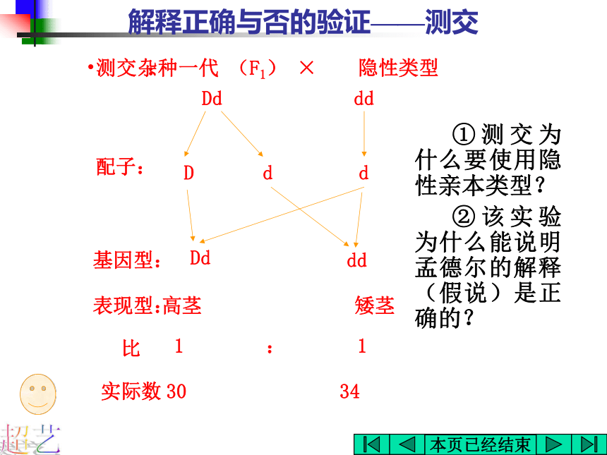 基因的分离规律在实践中的应用[上学期]