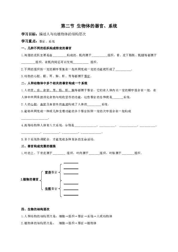 4.2 生物体的器官系统 导学案（含答案）