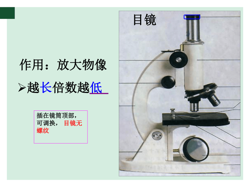 七上1-1-4生物学研究工具 课件（共23张PPT）