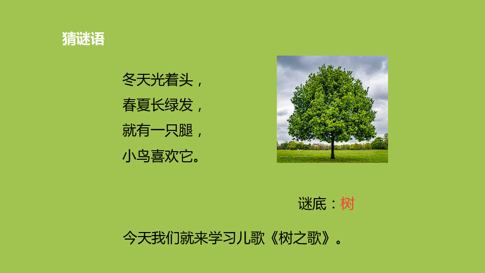 二年级上册语文课件 2《树之歌》（人教部编版）(2课时，共49张PPT)
