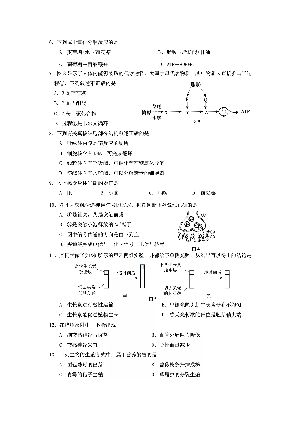 2020届上海市嘉定区高三二模生命科学（pdf版）