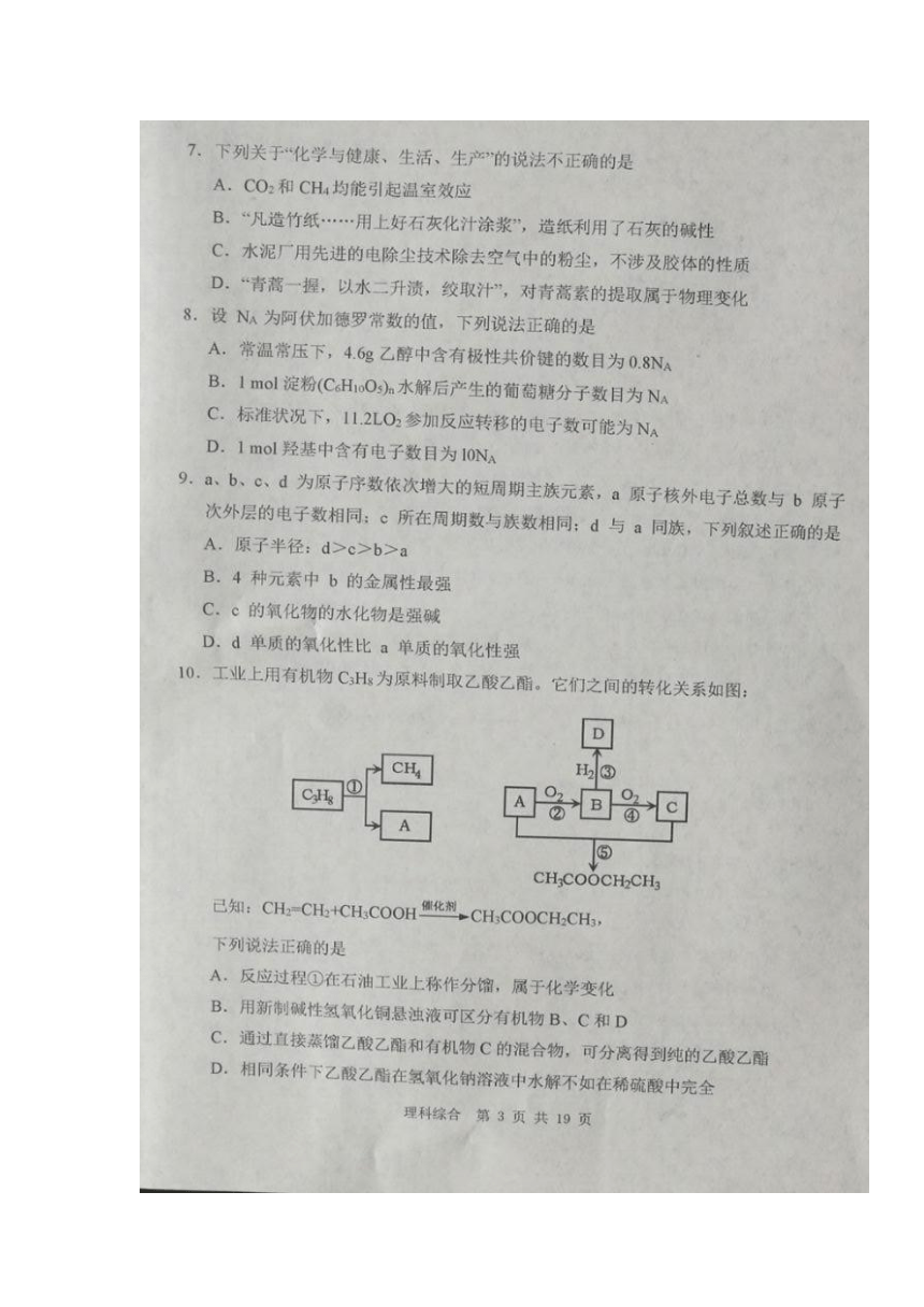 内蒙古赤峰市2018届高三上学期期末考试理科综合试题 扫描版含答案