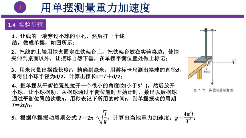 注意事项和误差分析数据处理实验器材和步骤实验目的和原理用单摆测量