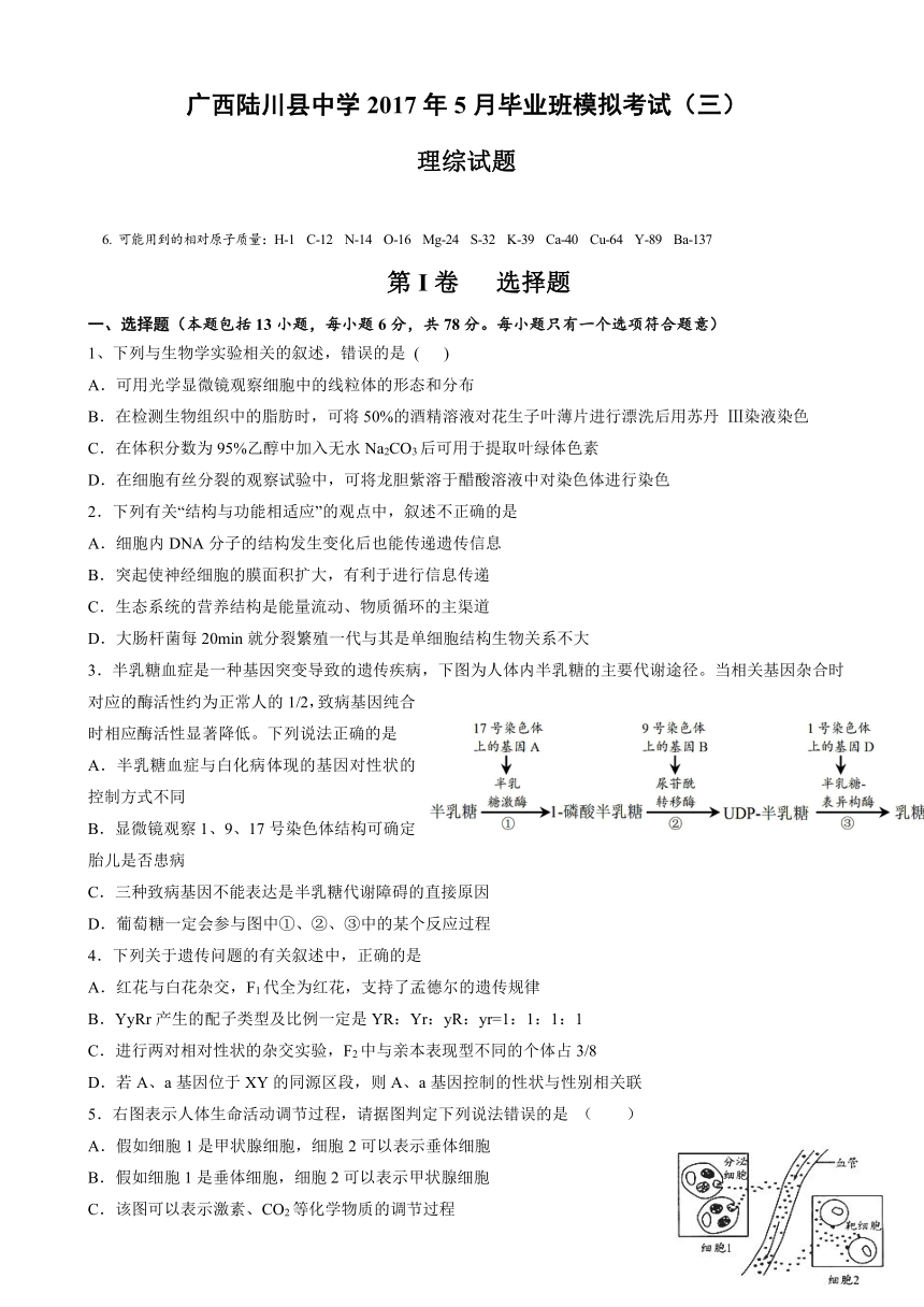 广西陆川县中学2017届高三5月份模拟考试（三）理综试题 Word版含答案
