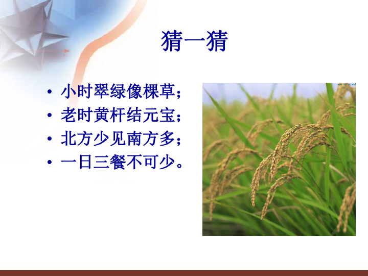 1 菜篮子 米袋子 课件