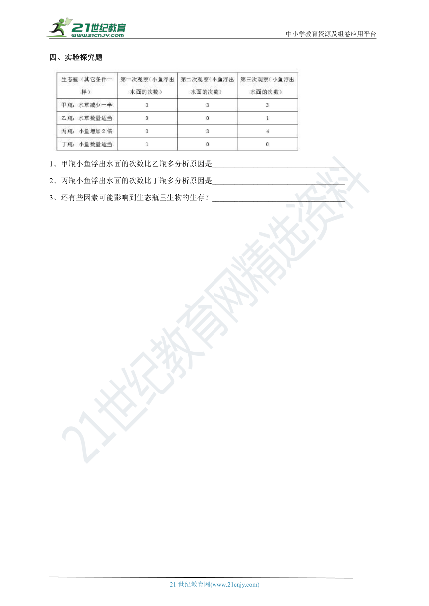 1.7《改变生态瓶》练习