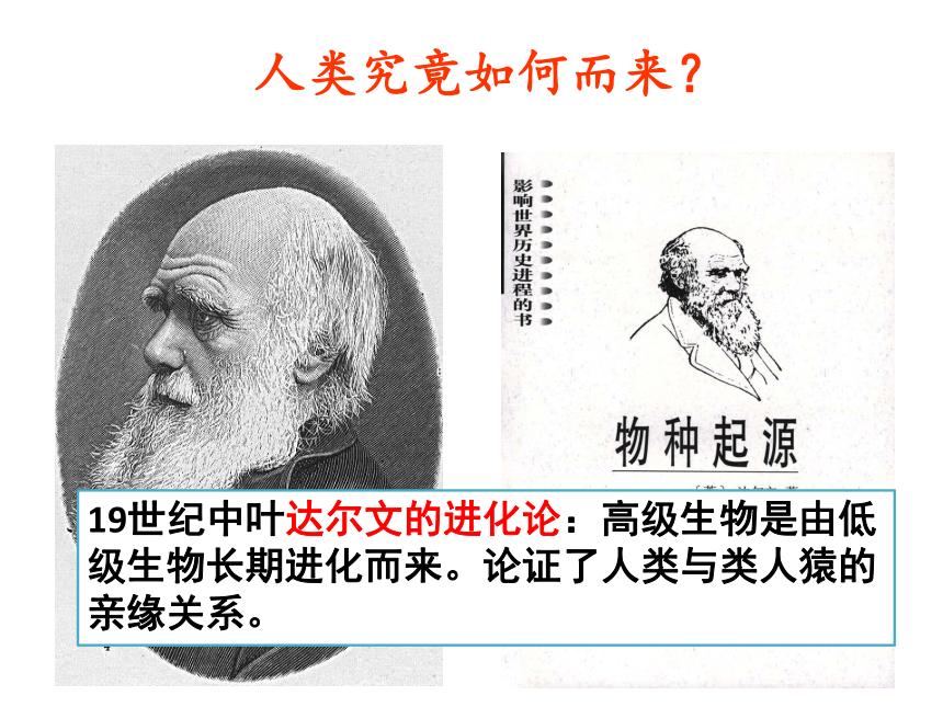 第1课 中国境内早期人类的代表—北京人  课件(39张PPT)