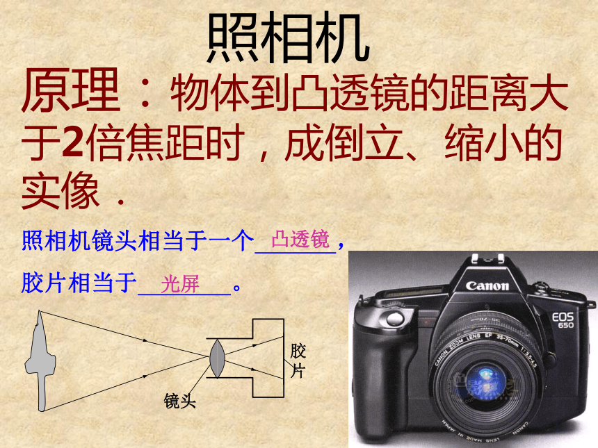 照相机和眼睛课件PPT下载 青岛版科学五年级下册课件