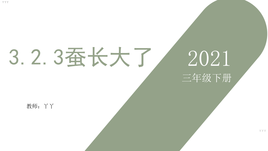 教科版（2017秋）三年级下册科学课件 2.3蚕长大了（课件29ppt）