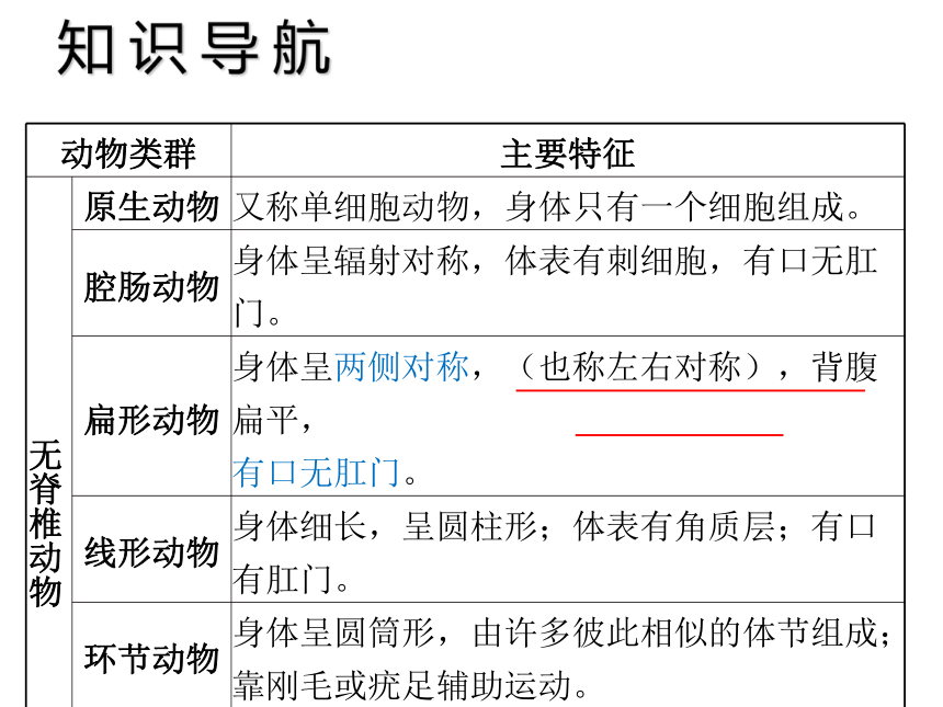 中考宝典2016中考（深圳版）生物会考课件：第九单元 动物的主要类群（共26张PPT）