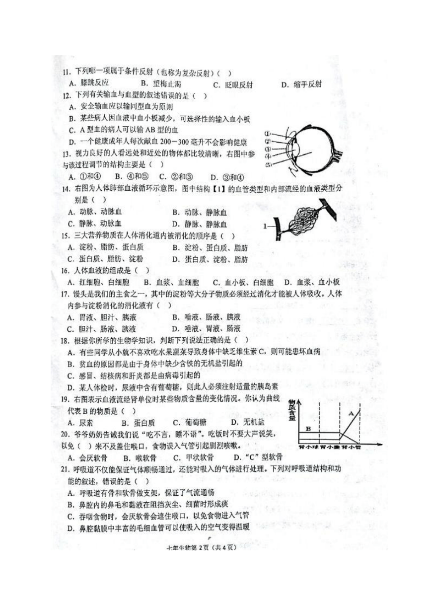 湖北省安陆市2016-2017学年七年级下学期期末考试生物试题（扫描版）